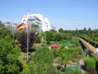 ac4